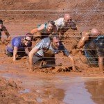 mud crawlers